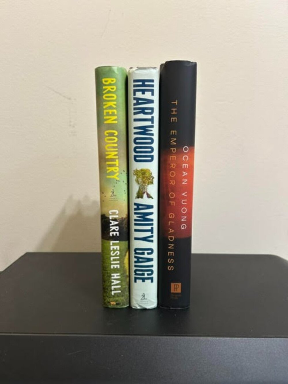 Literary Fiction Book Bundle Ocean Vuong Heartwood Broken Country